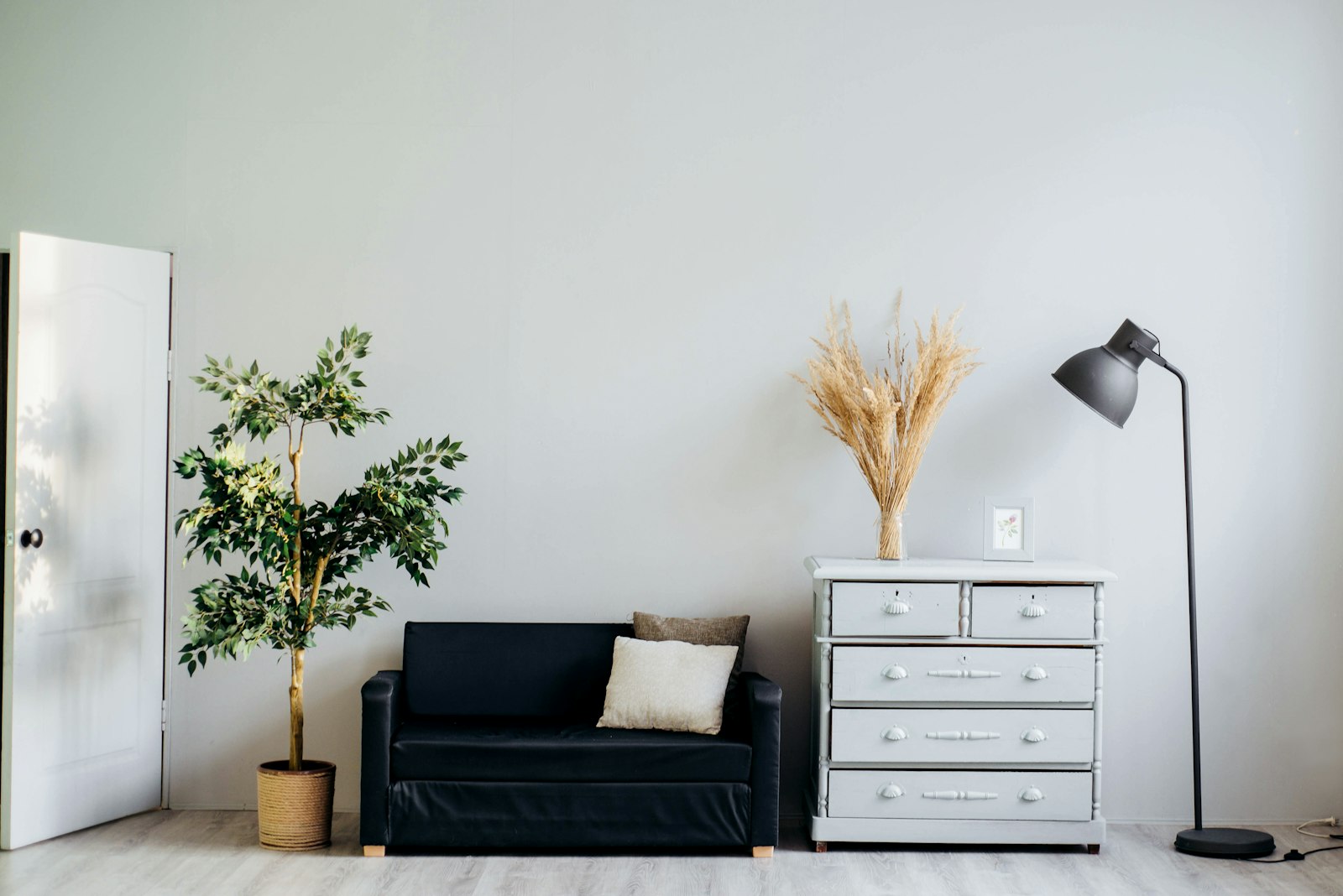 Airy living room with pale sofa, indoor plants and natural daylight