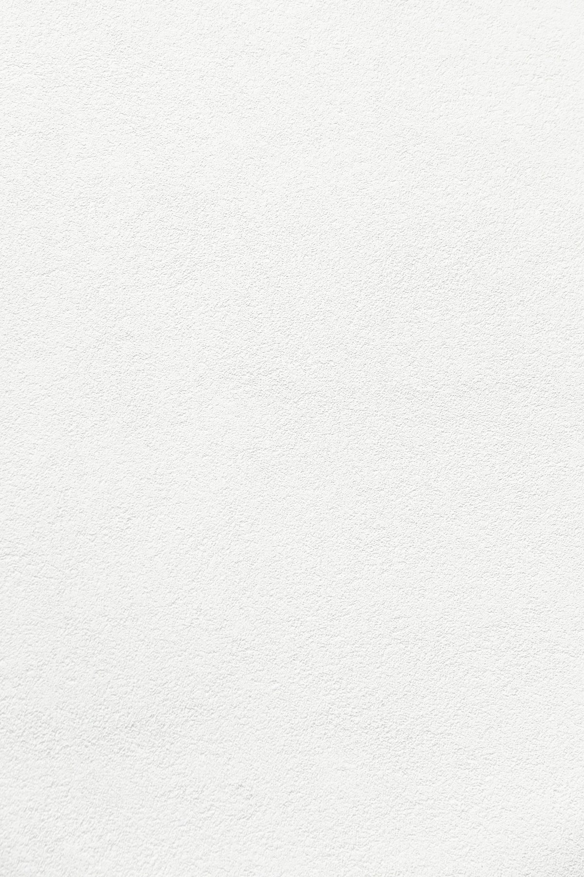 Soft white limewash plaster surface in raking light